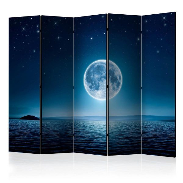 Room Divider - Moonlit night II