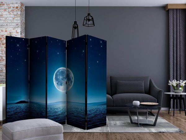 Room Divider - Moonlit night II
