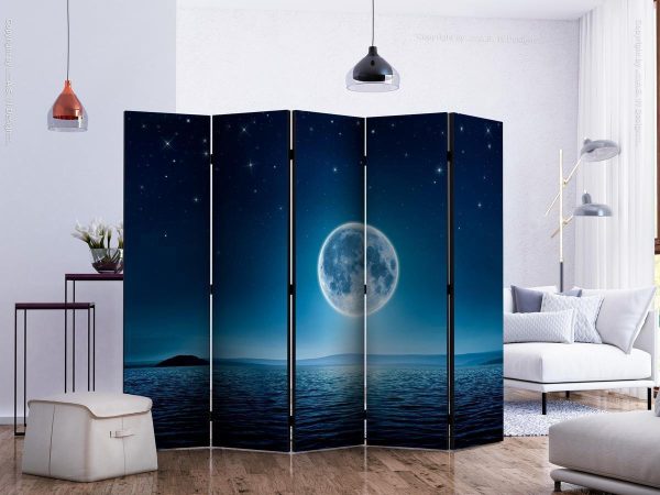 Room Divider - Moonlit night II