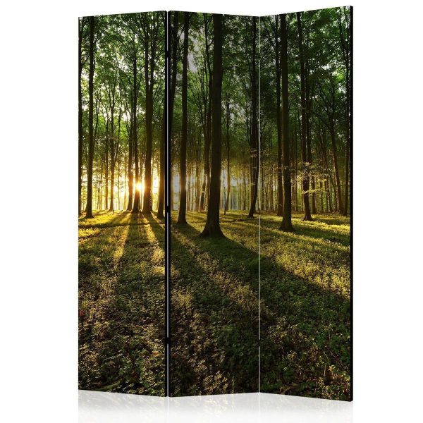Room Divider - Morning in the Forest