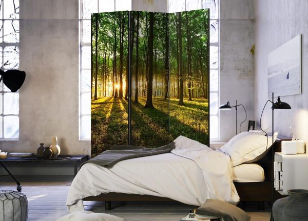 Room Divider - Morning in the Forest
