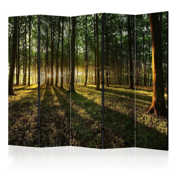 Room Divider - Morning in the Forest II