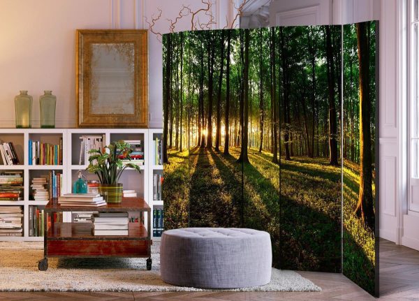 Room Divider - Morning in the Forest II