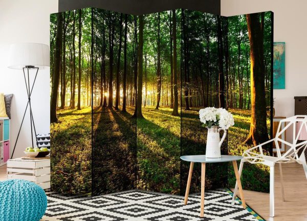 Room Divider - Morning in the Forest II
