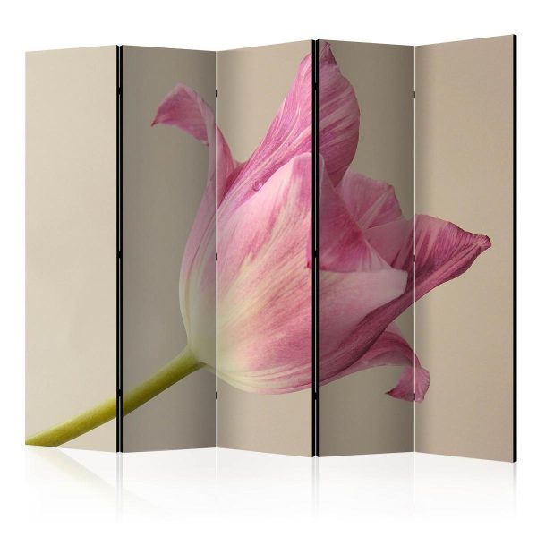 Room Divider - Pink tulip II