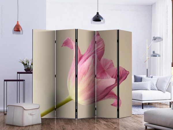 Room Divider - Pink tulip II
