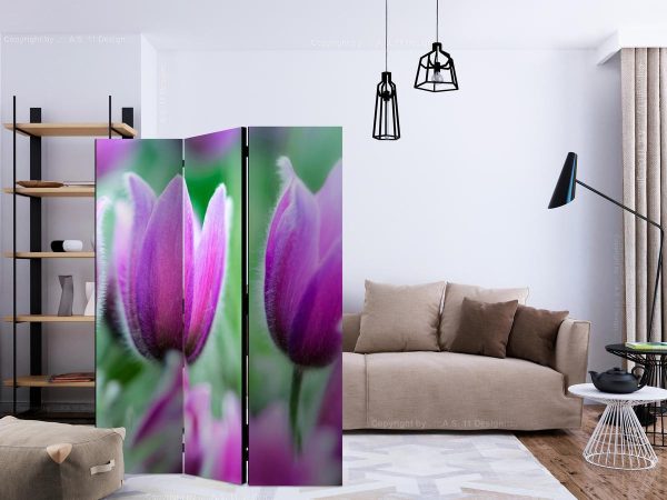 Room Divider - Purple spring tulips
