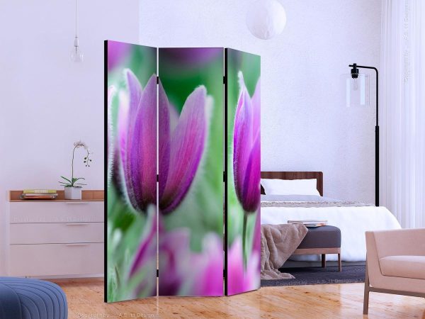 Room Divider - Purple spring tulips