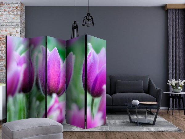 Room Divider - Purple spring tulips II