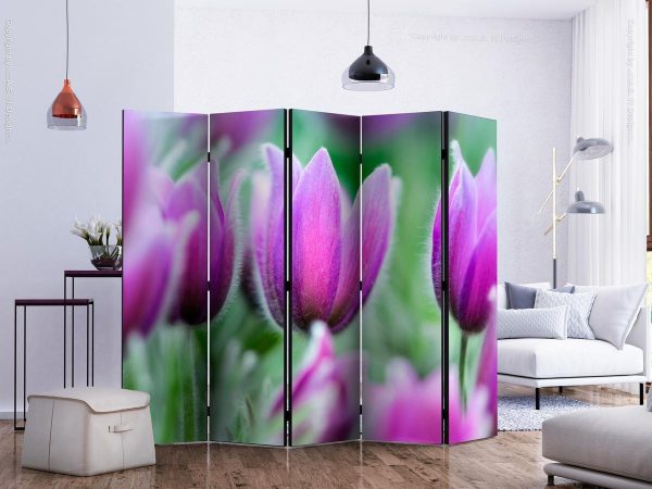 Room Divider - Purple spring tulips II