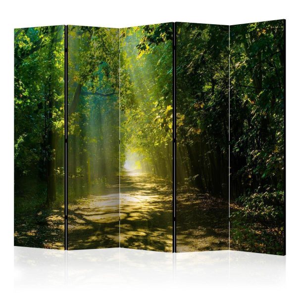 Room Divider - Road in Sunlight II