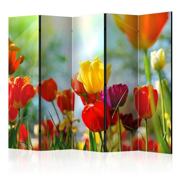 Room Divider - Spring Tulips II