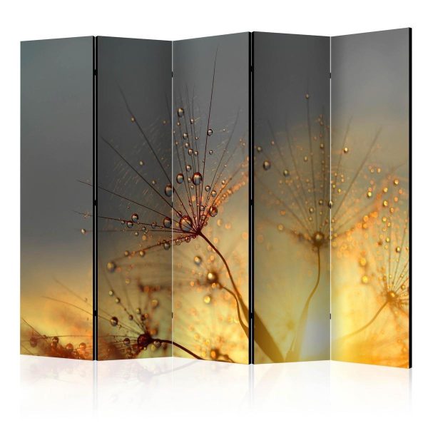 Room Divider - Summer Solstice II