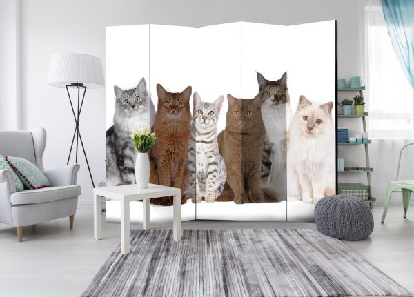 Room Divider - Sweet Cats II - Image 2