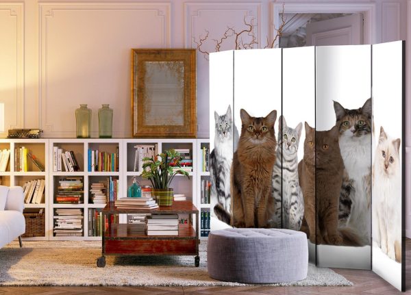 Room Divider - Sweet Cats II - Image 3