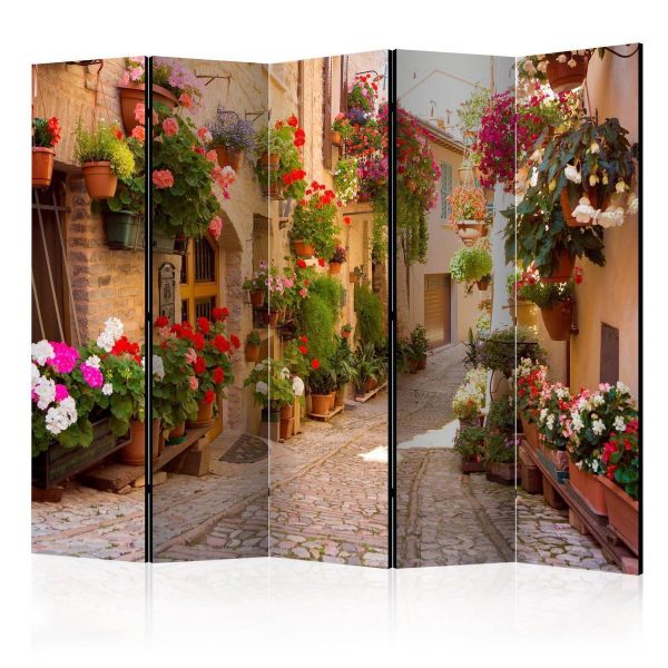 Room Divider - The Alley in Spello (Italy) II
