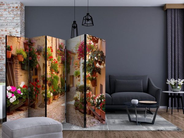Room Divider - The Alley in Spello (Italy) II