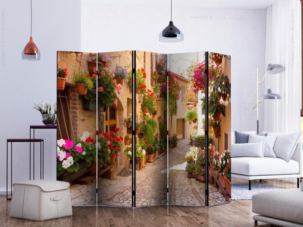 Room Divider - The Alley in Spello (Italy) II