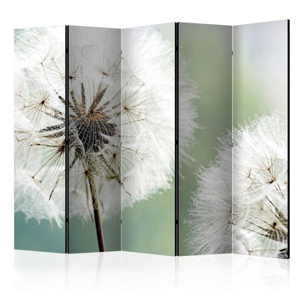 Room Divider - Two dandelions II
