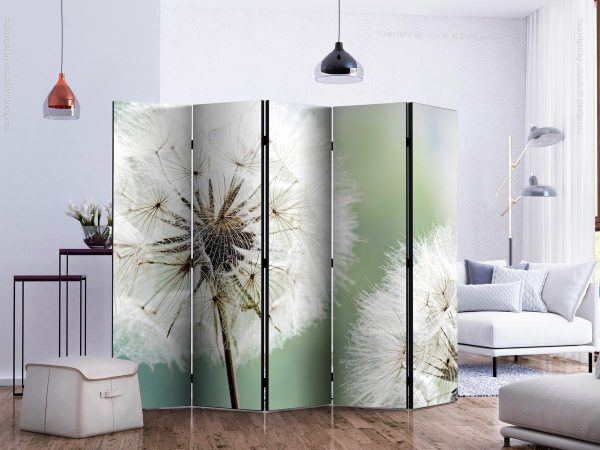 Room Divider - Two dandelions II