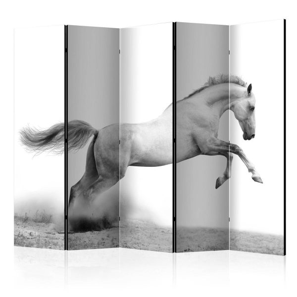 Room Divider - White gallop II
