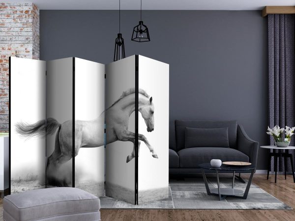 Room Divider - White gallop II