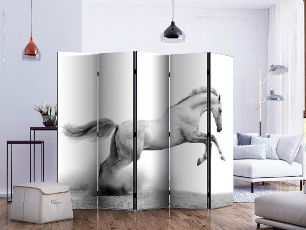 Room Divider - White gallop II