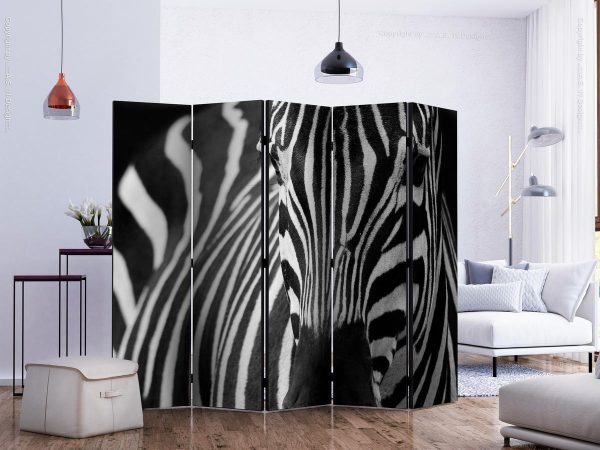 Room Divider - White with black stripes II