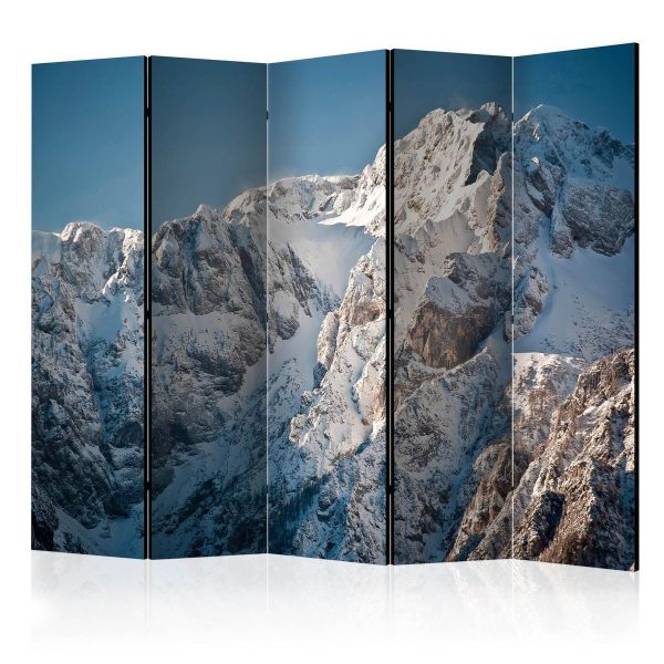 Room Divider - Winter in the Alps II