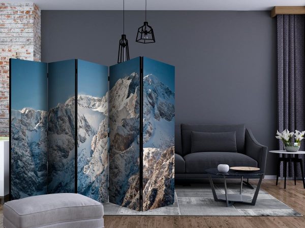 Room Divider - Winter in the Alps II