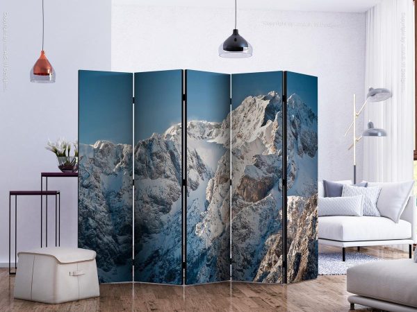 Room Divider - Winter in the Alps II