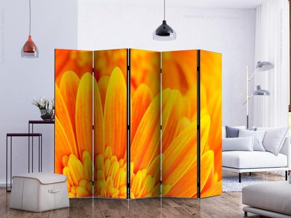 Room Divider - Yellow gerbera daisies II