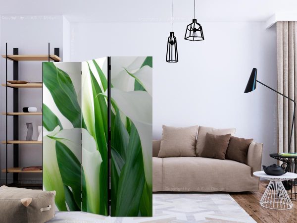 Room Divider - bunch of flowers - callas