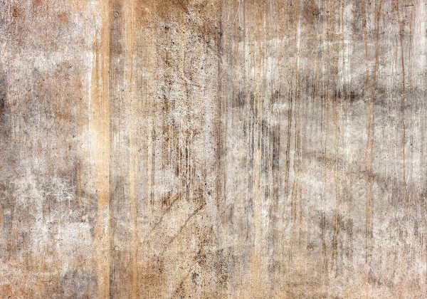 Wall Mural - Abstract beige - background with black textured concrete patterns