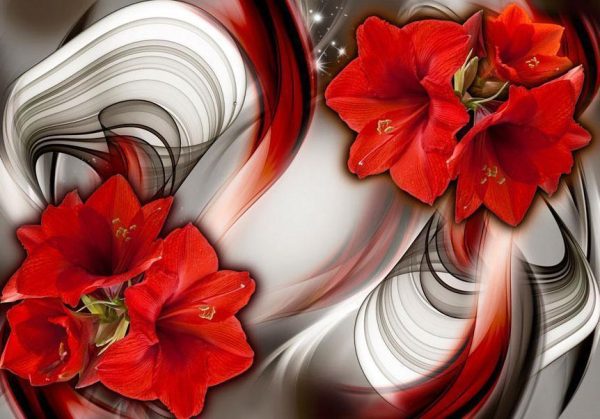 Wall Mural - Amaryllis - Ballad of the Red