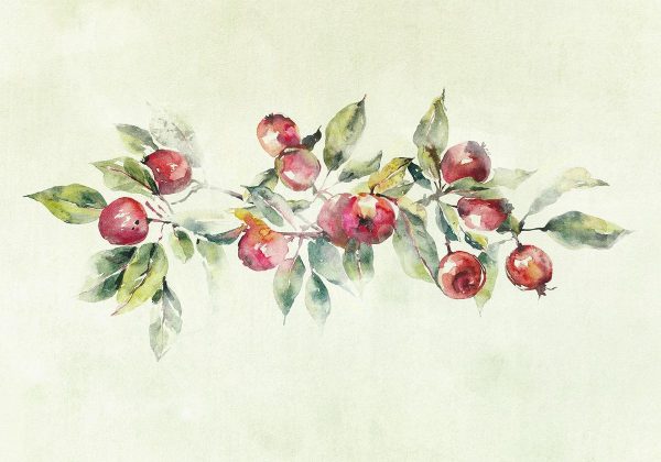 Wall Mural - Apple branch - delicate landscape with a plant and apples on a white background