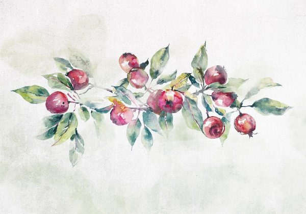 Wall Mural - Apple branch - landscape with a plant and red apples on a white background