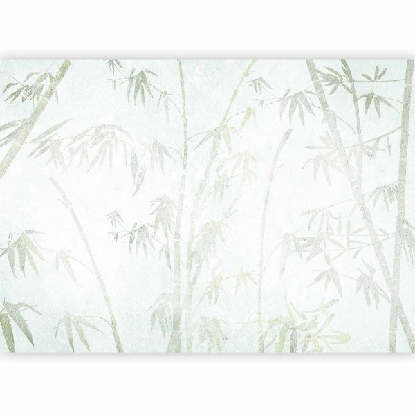 Wall Mural - Asian Jungle