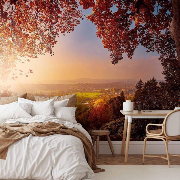 Wall Mural - Autumn delight - sunny landscape with countryside surrounded by trees and fields