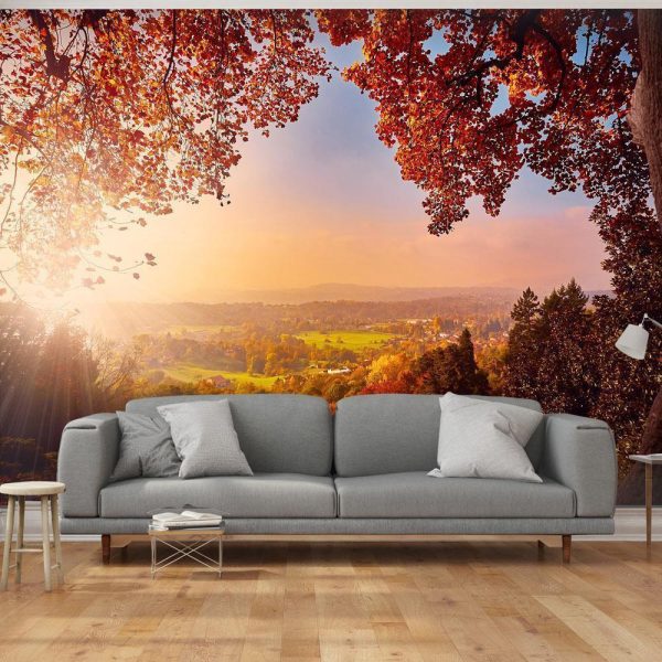 Wall Mural - Autumn delight - sunny landscape with countryside surrounded by trees and fields