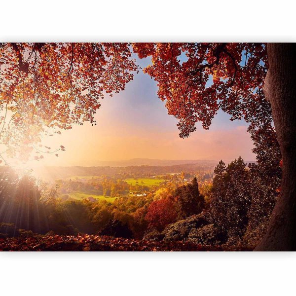 Wall Mural - Autumn delight - sunny landscape with countryside surrounded by trees and fields
