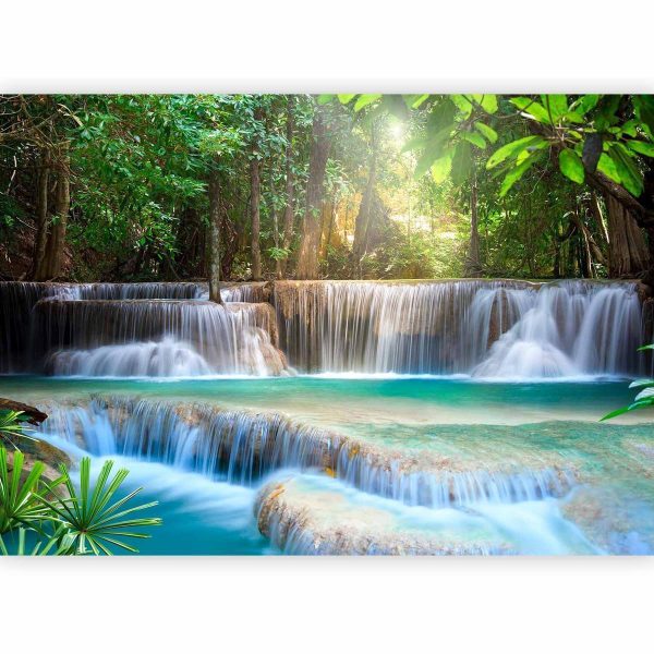 Wall Mural - Awakening of nature