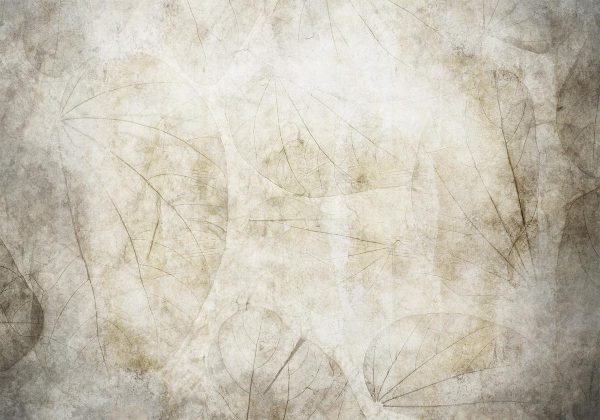 Wall Mural - Beige murmurs
