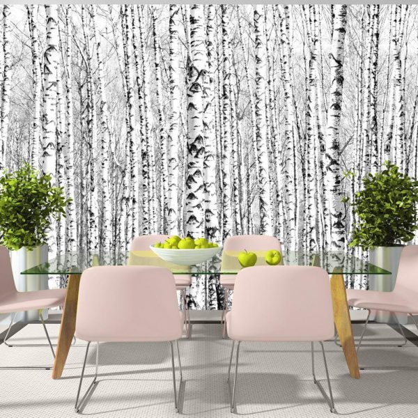 Wall Mural - Birch forest - Image 3