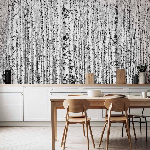 Wall Mural - Birch forest
