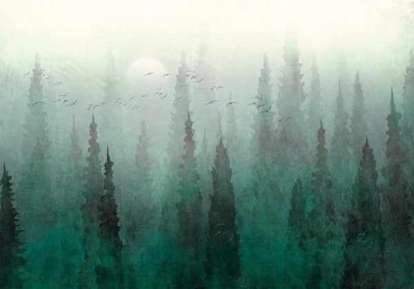 Wall Mural - Bird's eye perspective - landscape of a green forest with trees in the mist
