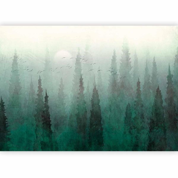 Wall Mural - Bird's eye perspective - landscape of a green forest with trees in the mist