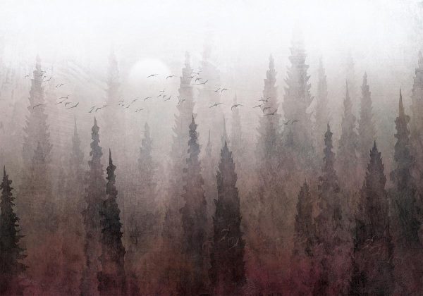 Wall Mural - Bird's flight over treetops - landscape of a dark forest in fog