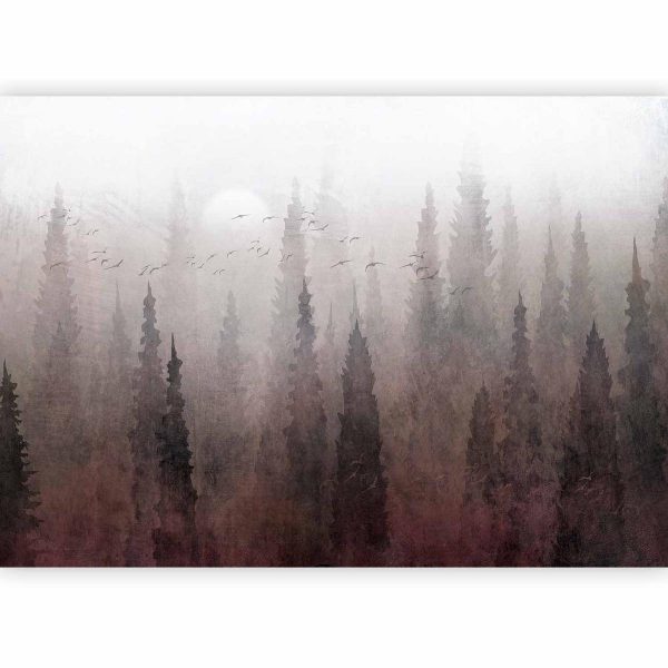 Wall Mural - Bird's flight over treetops - landscape of a dark forest in fog