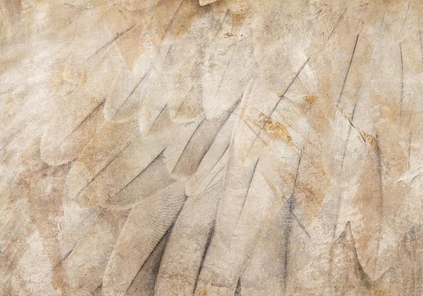 Wall Mural - Bird's wings - minimalist close-up on beige feathers with pattern